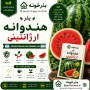 بذر هندوانه ارژانتینی