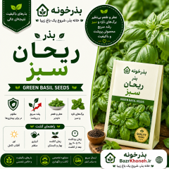 بذر ریحان سبز