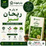 بذر ریحان سبز