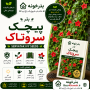 بذر پیچک سروتاک