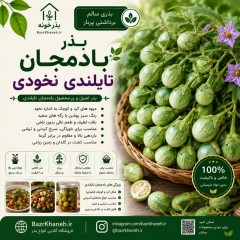 بذر بادمجان تایلندی نخودی