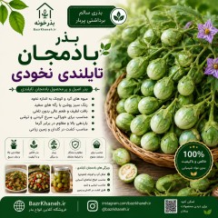 بذر بادمجان تایلندی نخودی