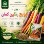 بذر کمیاب هویج رنگین کمان