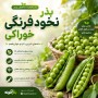 بذر نخود فرنگی خوراکی کمیاب