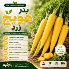 بذر هویج زرد