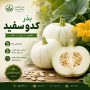 بذر کدو سفید