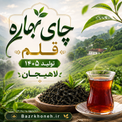 چاي بهاره قلم تولید 1405 لاهیجان