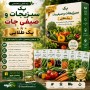 پک سبزیجات و صیفی جات - پک طلایی