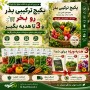 پک سبزیجات و صیفی جات - پک اقتصادی