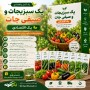 پکیج ترکیبی بذر رو  بخر و 3 تا هدیه بگیر