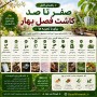 صفر تا صد کاشت فصل بهار برای با تجربه ها