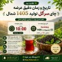 تاریخ و زمان دقیق عرضه چای سرگل تولید 1405 شمال