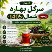 چای سرگل بهاره 1405 شمال رسید / تضمینی