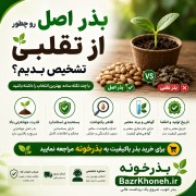 بذر اصل رو چطور از تقلبی تشخیص بدیم؟ | تا حالا بهش فکر کردی؟