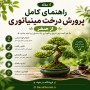 کاشت بذر بونسای | راهنمای کامل پرورش درخت مینیاتوری از صفر