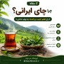 چرا چای ایرانی؟ راز طعم، کیفیت و اعتماد به تولید داخلی