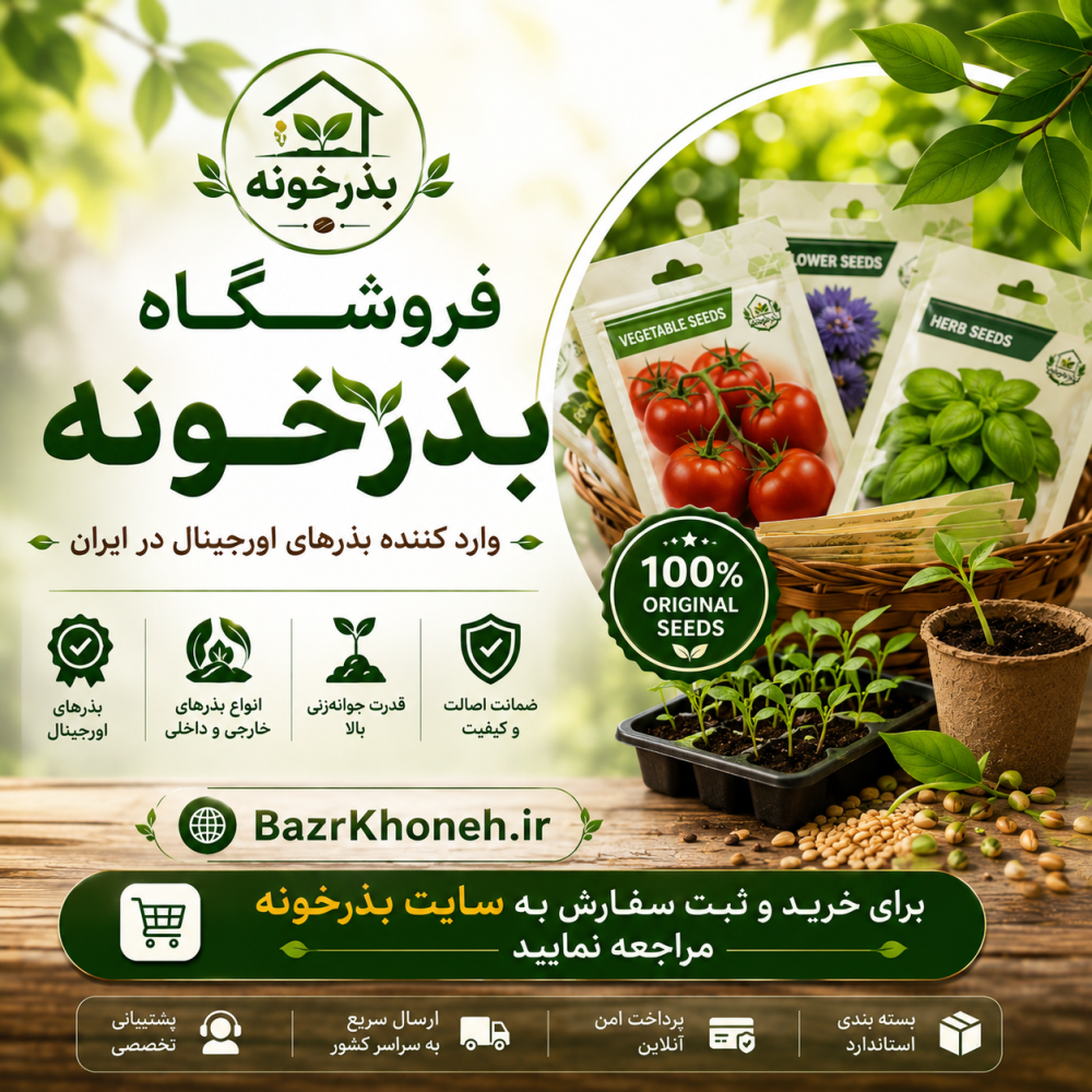 بذرخونه | تجربه یک خرید خوب و ارگانیک