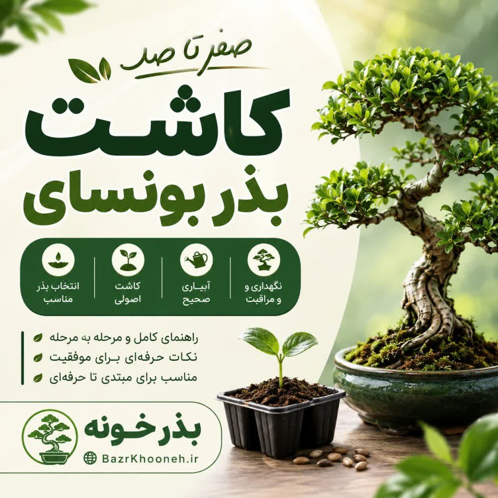 صفر تا صد کاشت بذر بونسای — راهنمای کامل
