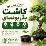 صفر تا صد کاشت بذر بونسای — راهنمای کامل