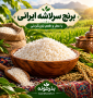 برنج سرلاشه شمال | محصول 1405