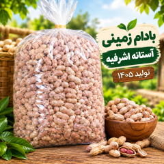بادام زمینی آستانه اشرفیه؛ وقتی خاک گیلان طلا می‌رویاند