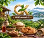 گیل خونه؛ طعم سفر، بدون بلیط